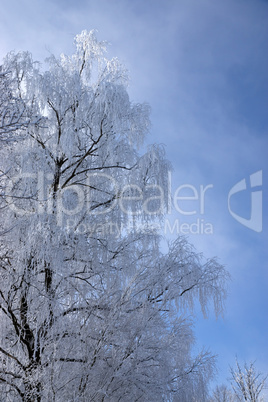 Eiszeit in Mühlberg, Bayern, Deutschland