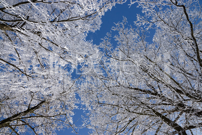 Eiszeit in Mühlberg, Bayern, Deutschland