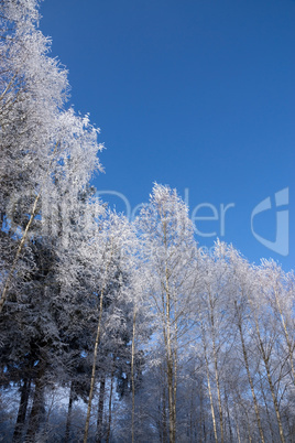 Eiszeit in Mühlberg, Bayern, Deutschland