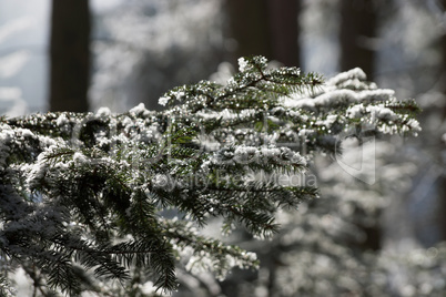 Eiszeit in Mühlberg, Bayern, Deutschland