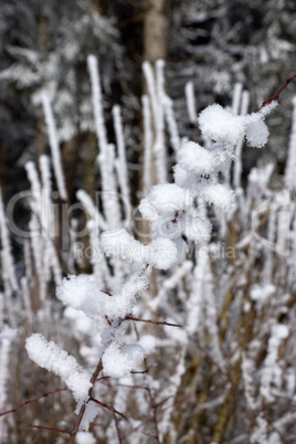 Eiszeit in Mühlberg, Bayern, Deutschland