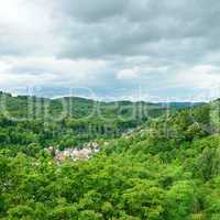 Mountain covered forest