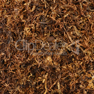 dried smoking tobacco