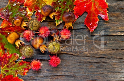 Digital painting of colorful autumn leaves on a wooden background