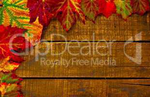 Digital painting of colorful autumn leaves on a wooden background