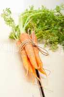 baby carrots bunch tied with rope