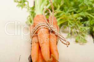 baby carrots bunch tied with rope