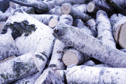 Fire wood covered by hoar-frost