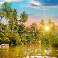 river, beautiful sunrise and tropical palms