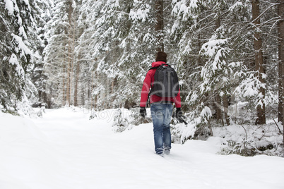 Photographer in winter landscape