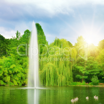 large fountain in the lake sunlit