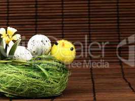 Easter chicken and eggs in the nest.