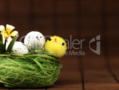 Easter chicken and eggs in the nest.