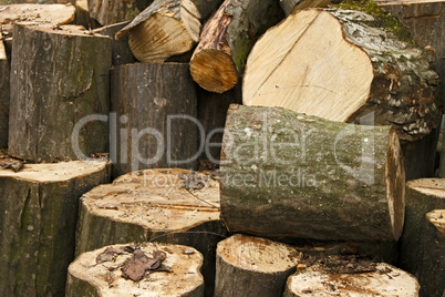 Heap of big hornbeam chopped logs