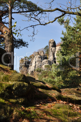 Felsen an der Bastei