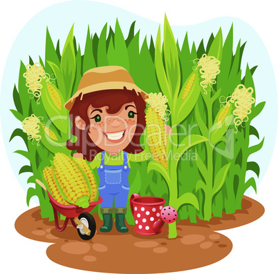 Harvesting Female Farmer In a Cornfield