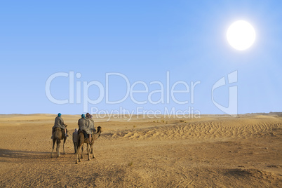Dromedar Tour in der Sahara