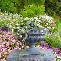 flower bed and stone vase with flowers