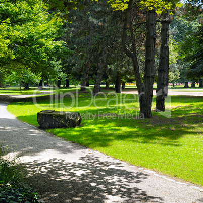 summer park with beautiful green lawns