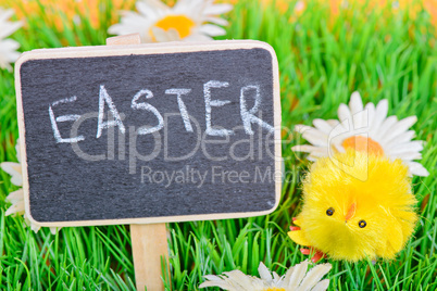 Easter chicken with chalkboard