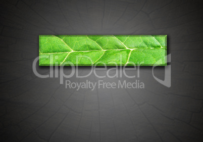 strip from green leaf on gradient dark background