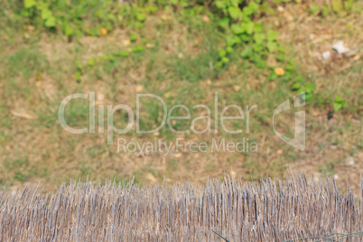 thatched roof on blur grass