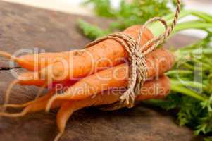 baby carrots bunch tied with rope