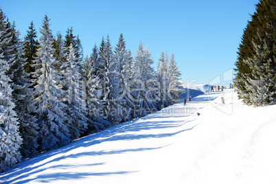 The slope of Bukovel ski resort, Ukraine