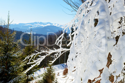 The view from a slope of Bukovel ski resort, Ukraine