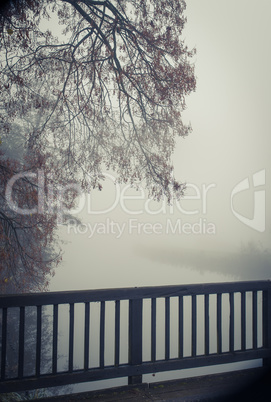 fog at the river