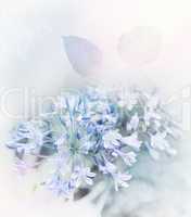 Blue Flowers Watercolor