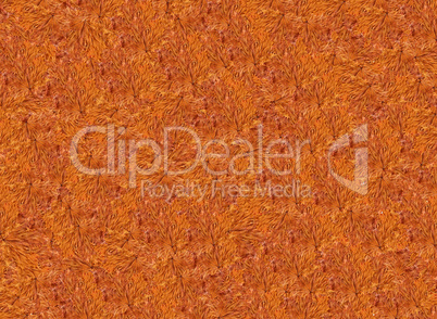 abstract brown texture with Autumn leaves