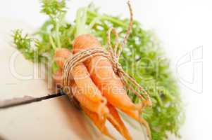 baby carrots bunch tied with rope