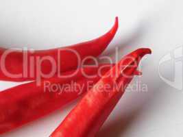 Chili Früchte spitz rot