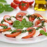 Caprese Salat mit Zutaten wie Tomaten und Mozzarella Käse