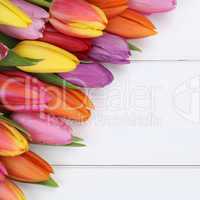 Tulpen Blumen im Frühling, Ostern oder Muttertag auf Holzbrett