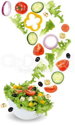 Gesund vegetarisch Essen Salat mit Tomate, Gurke, Zwiebel und Pa