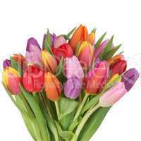 Blumenstrauß mit Tulpen Blumen im Frühling oder Muttertag Frei
