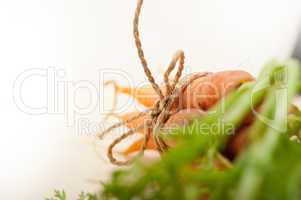 baby carrots bunch tied with rope