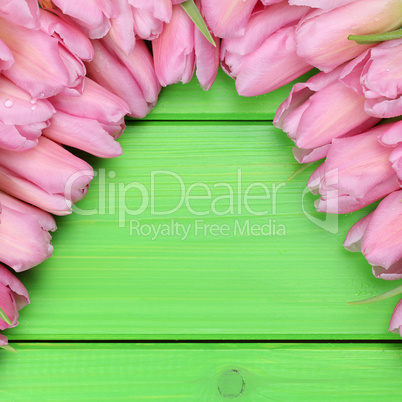 Tulpen Blumen im Frühling oder Muttertag mit Textfreiraum