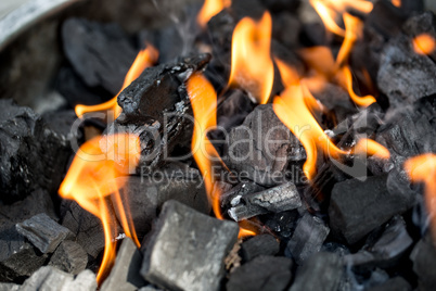 Brennende Holzkohle