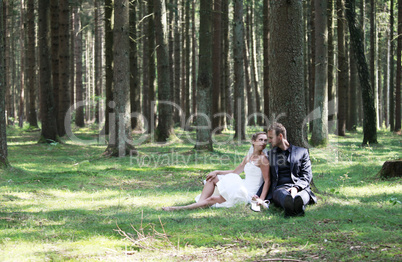 Bride and groom sitting in the woods