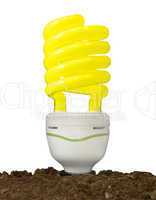 Bulb