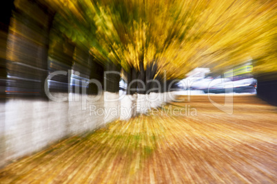 Autumn alley abstraction