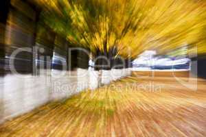 Autumn alley abstraction
