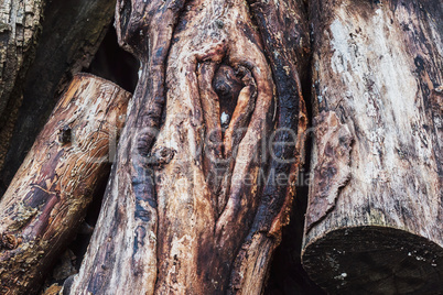 Wooden logs