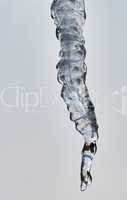 Large icicle in December2