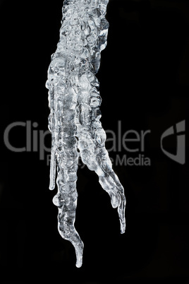 Large icicle in December5