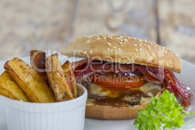 Hamburger and Fries