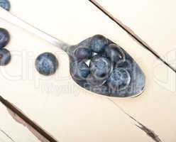 fresh blueberry on silver spoon